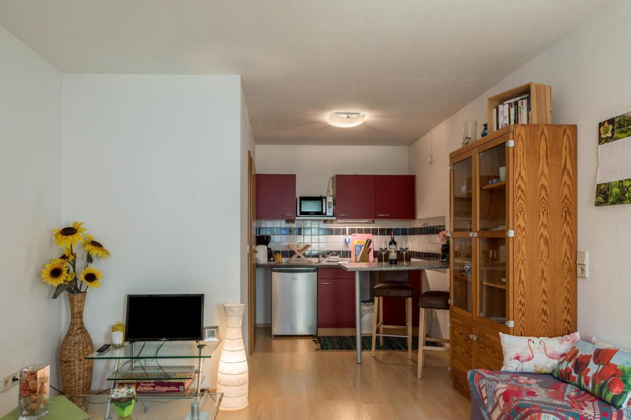 Ferienwohnung Alina 辛根 外观 照片
